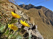 23 Baciati dal sole d'ottobre 